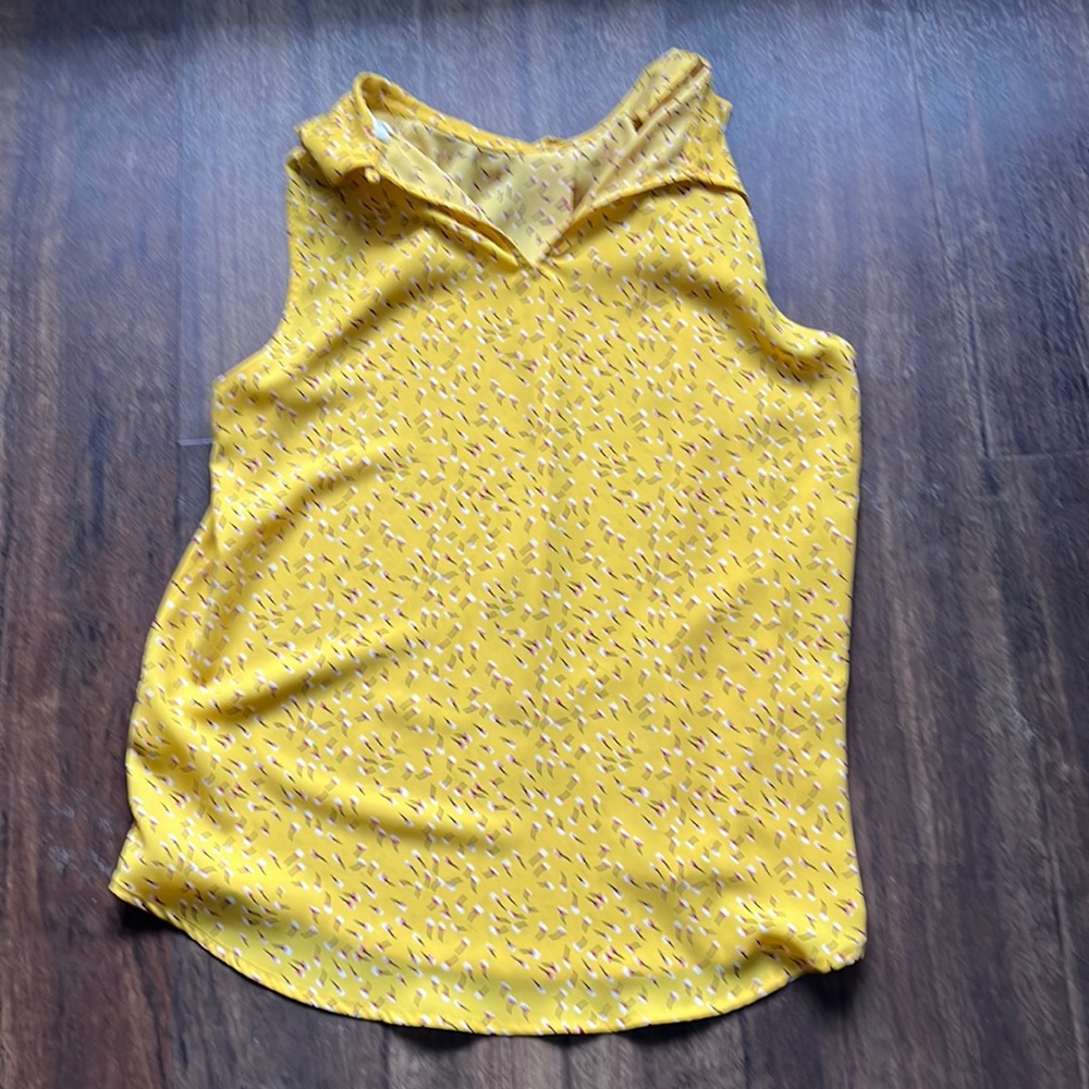 Pleione yellow top